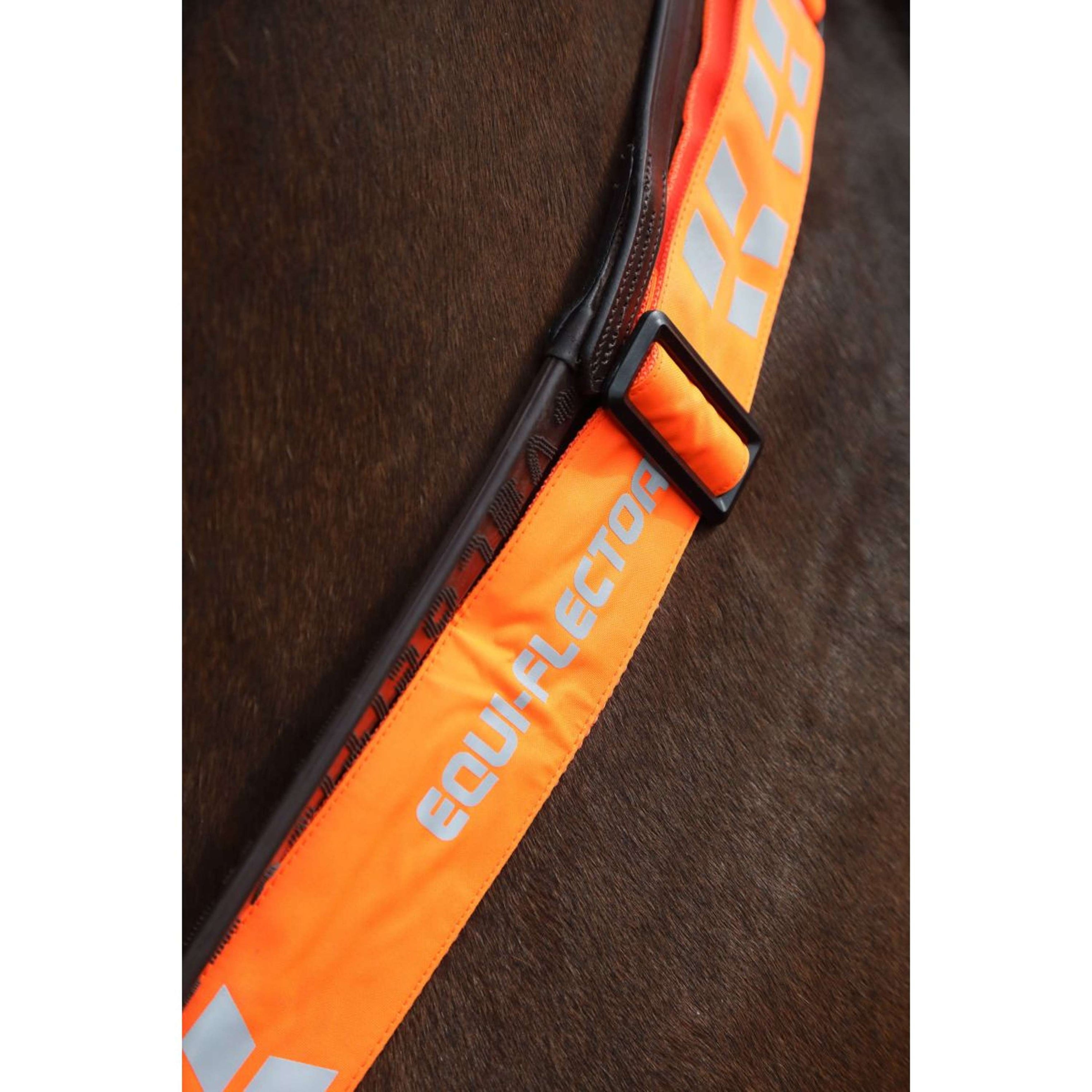 Equi-Flector by Shires Cinghia Frontale Arancia