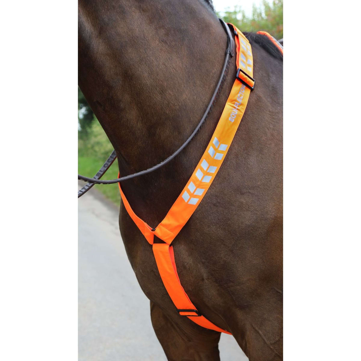 Equi-Flector by Shires Cinghia Frontale Arancia