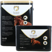 Excellent Fieno greco