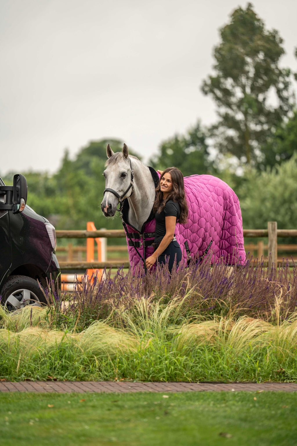 Velder Horsewear Premium Coperta da esposizione Satin Glow Dutch Raspberry