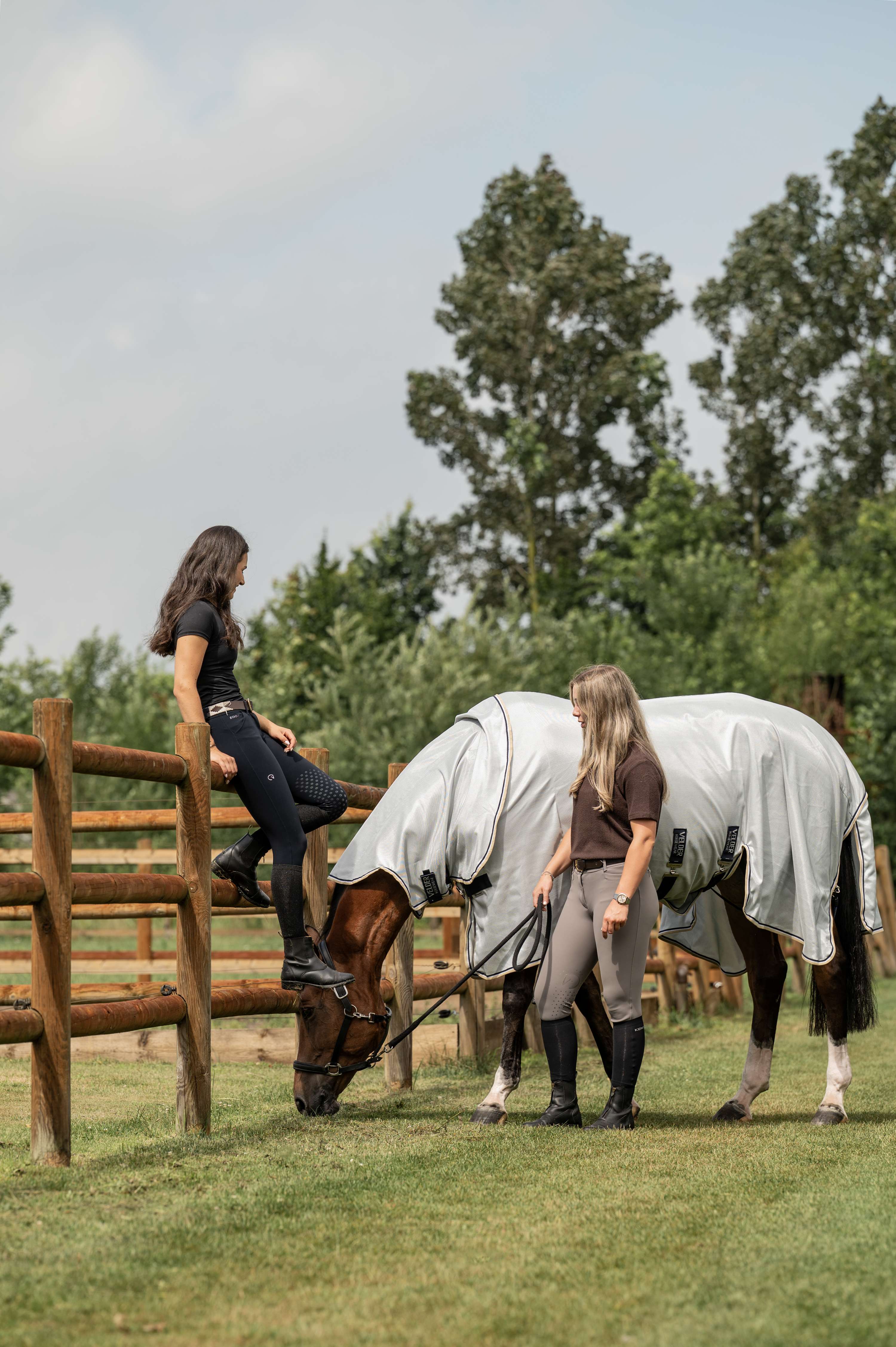 Velder Horsewear Premium Coperta Antimosche Pearl Grey