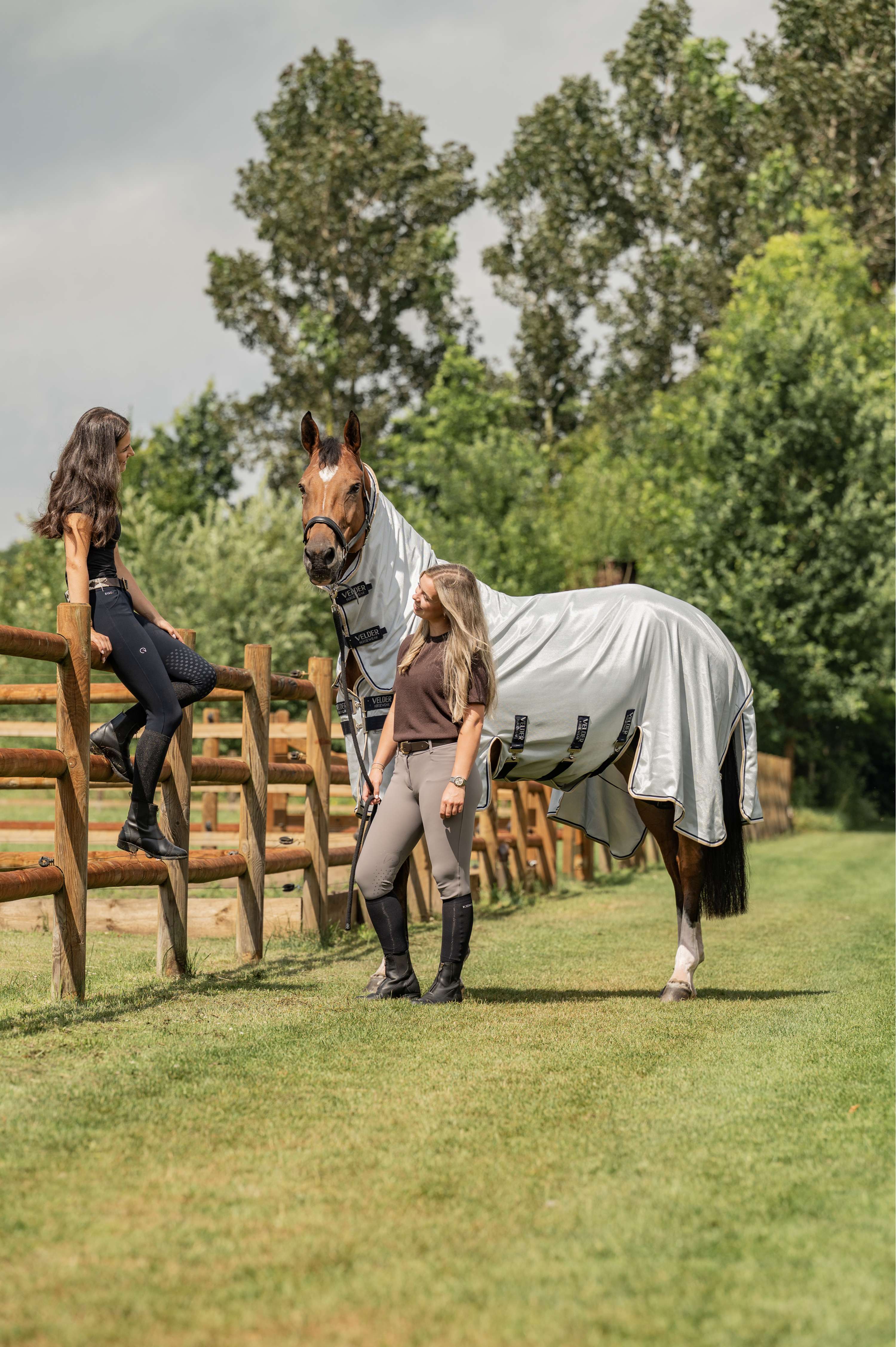 Velder Horsewear Premium Coperta Antimosche Pearl Grey