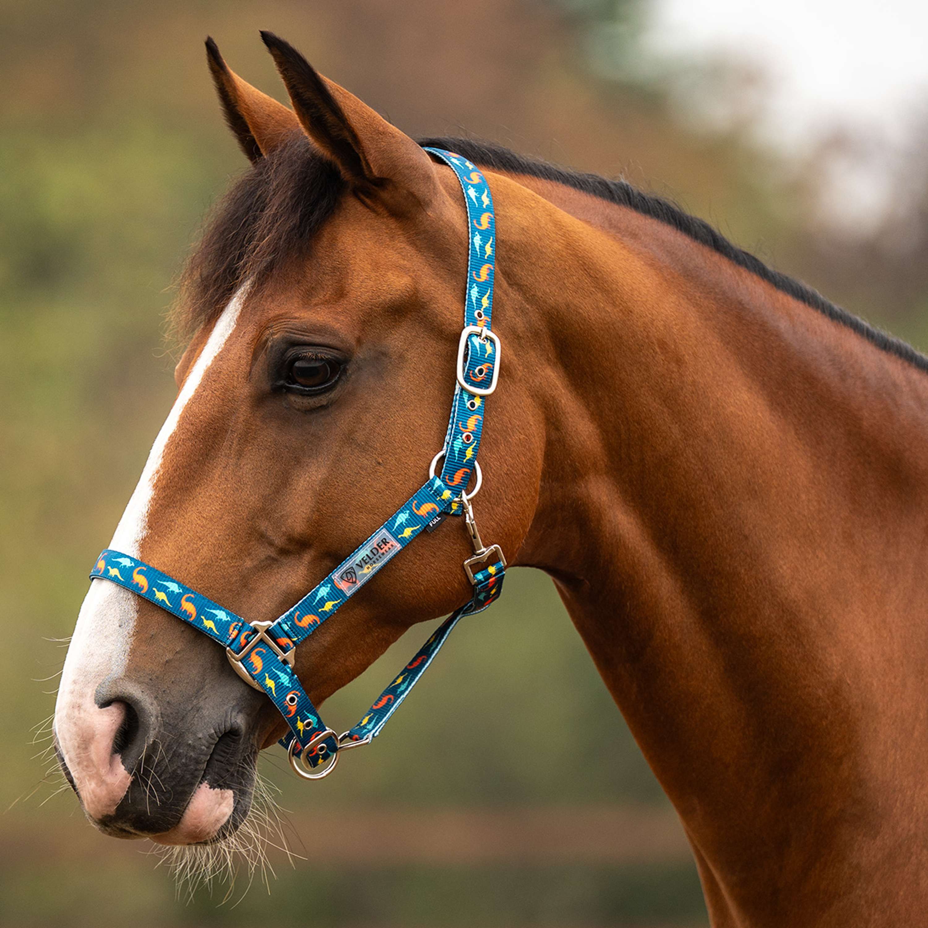 Velder Horsewear Essentials Cavezza Dino Blu/Arancione