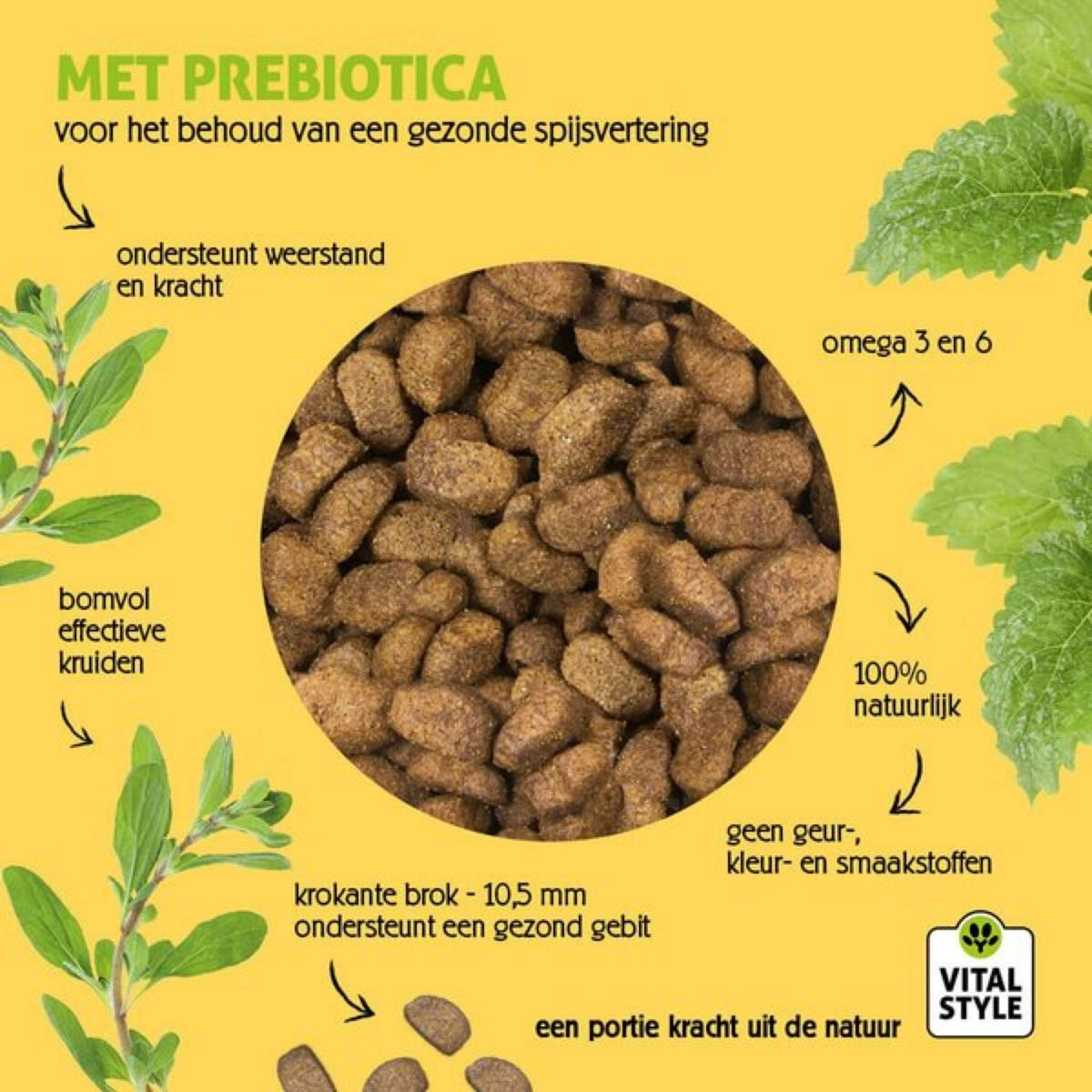 Vitalstyle Cane Adult