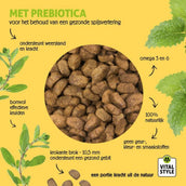 Vitalstyle Cane Adult