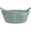 Verde vischio