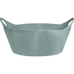 Verde vischio