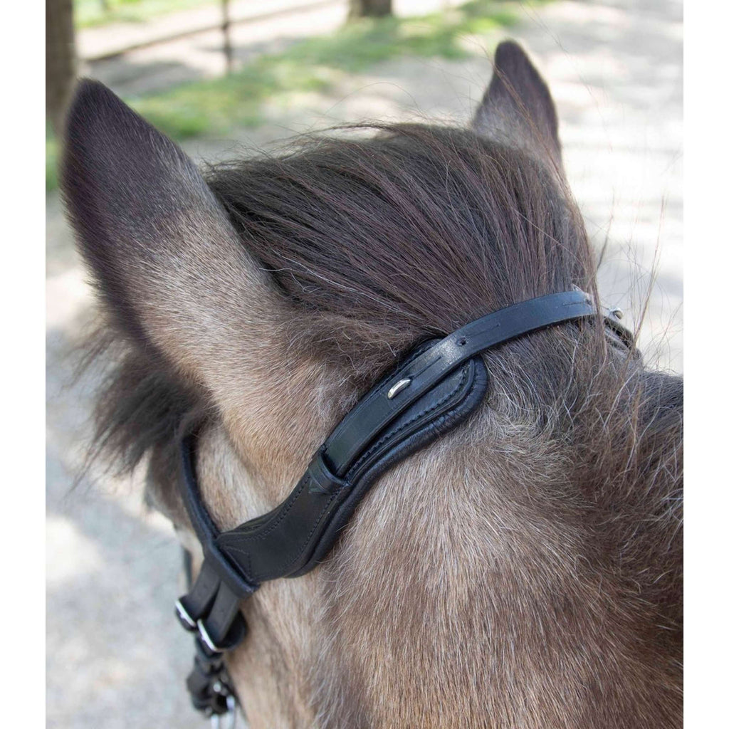 Waldhausen Briglia Islandese Anatomic Nero