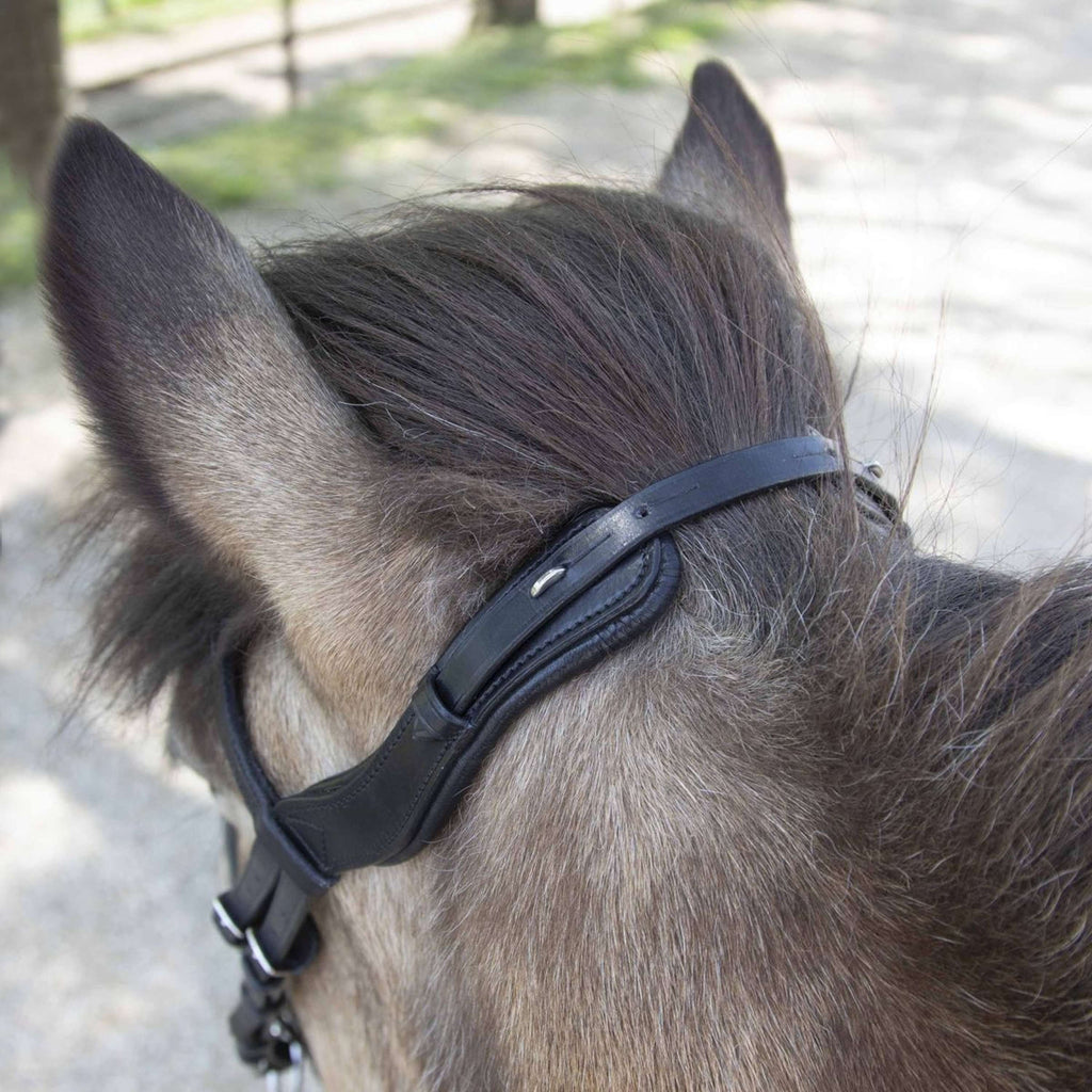 Waldhausen Briglia Islandese Anatomic Nero
