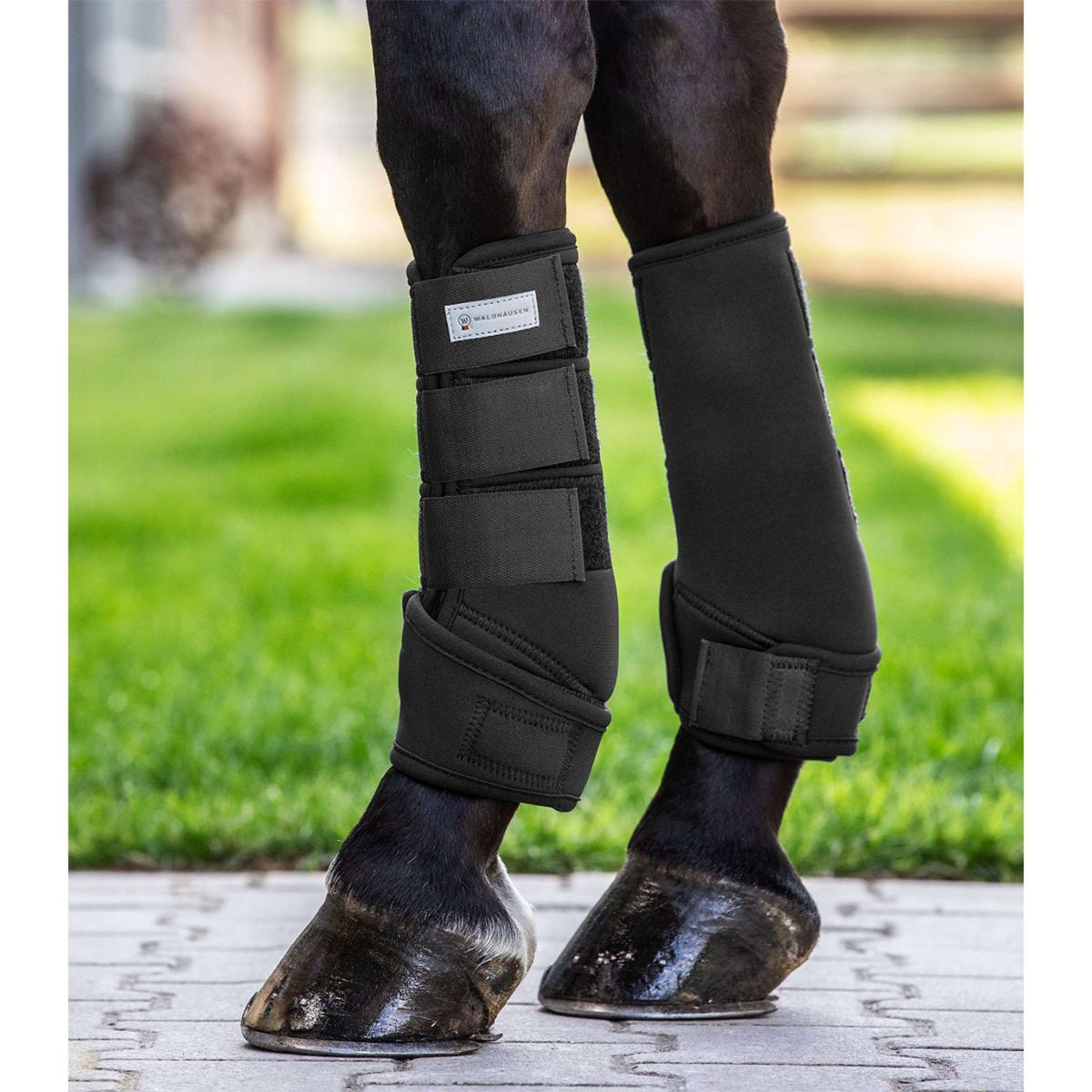 Waldhausen Parastinchi Protect Nero