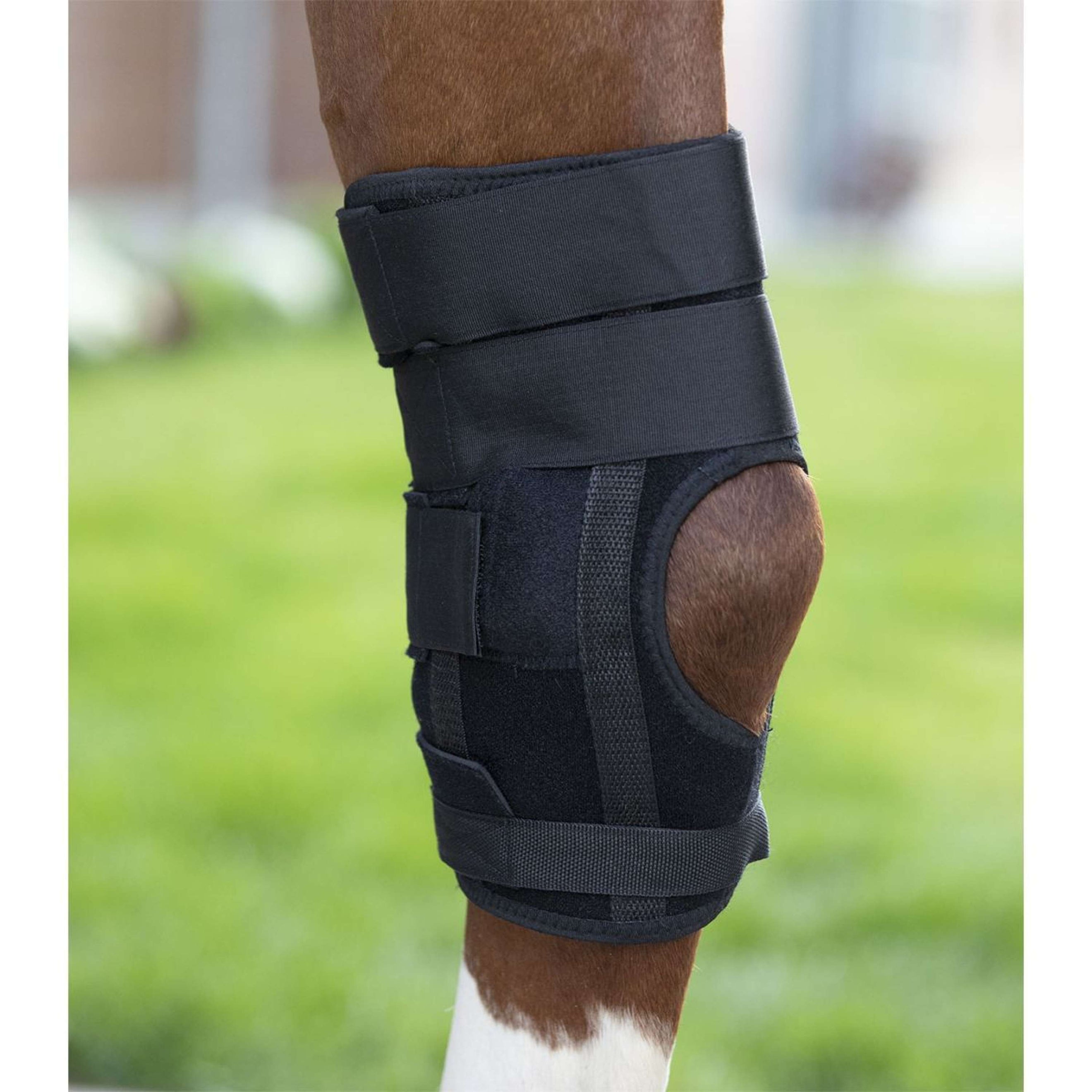 Waldhausen Protezione delle gambe Health & Care Nero Waldhausen Protezione delle gambe Health & Care Nero