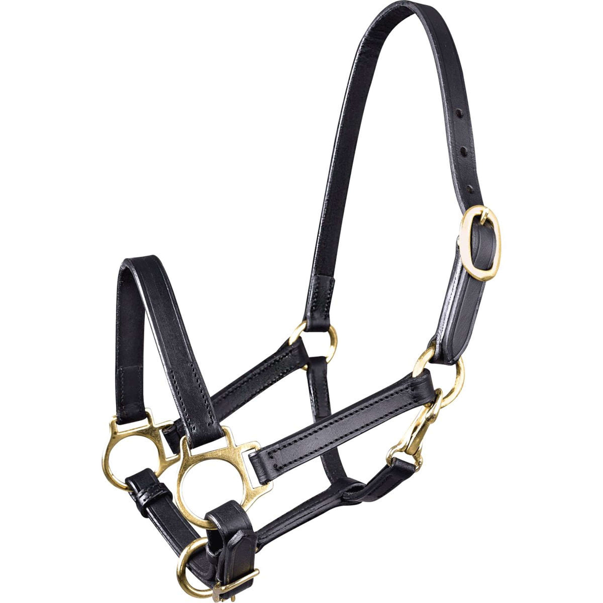Waldhausen Capezzina Leder Nero