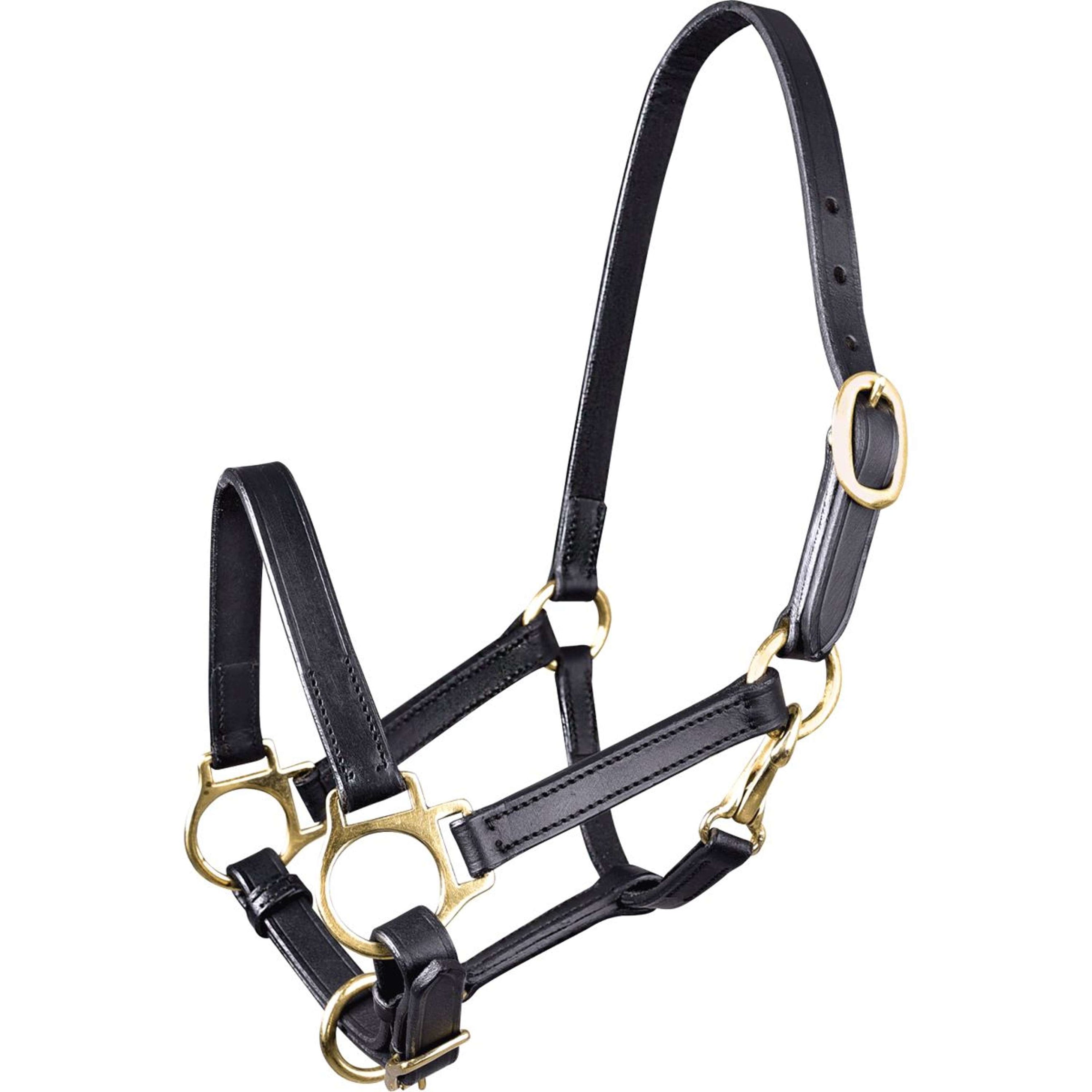 Waldhausen Capezzina Leder Nero