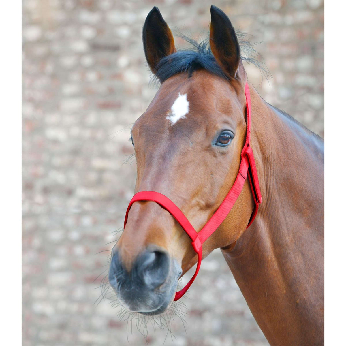 Waldhausen Capezzina Weide Rosso