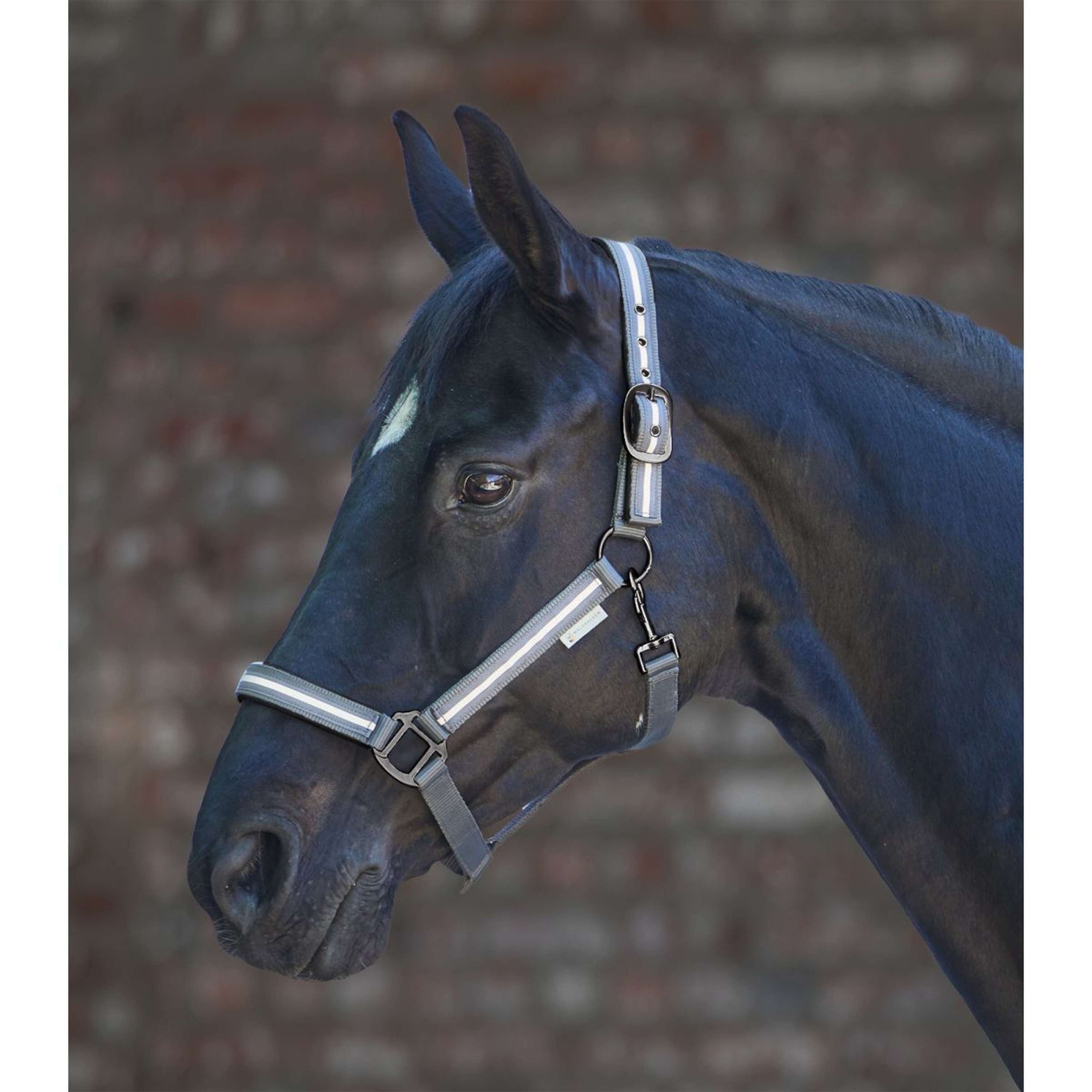 Waldhausen Cavezza Reflex Stripe Grigio