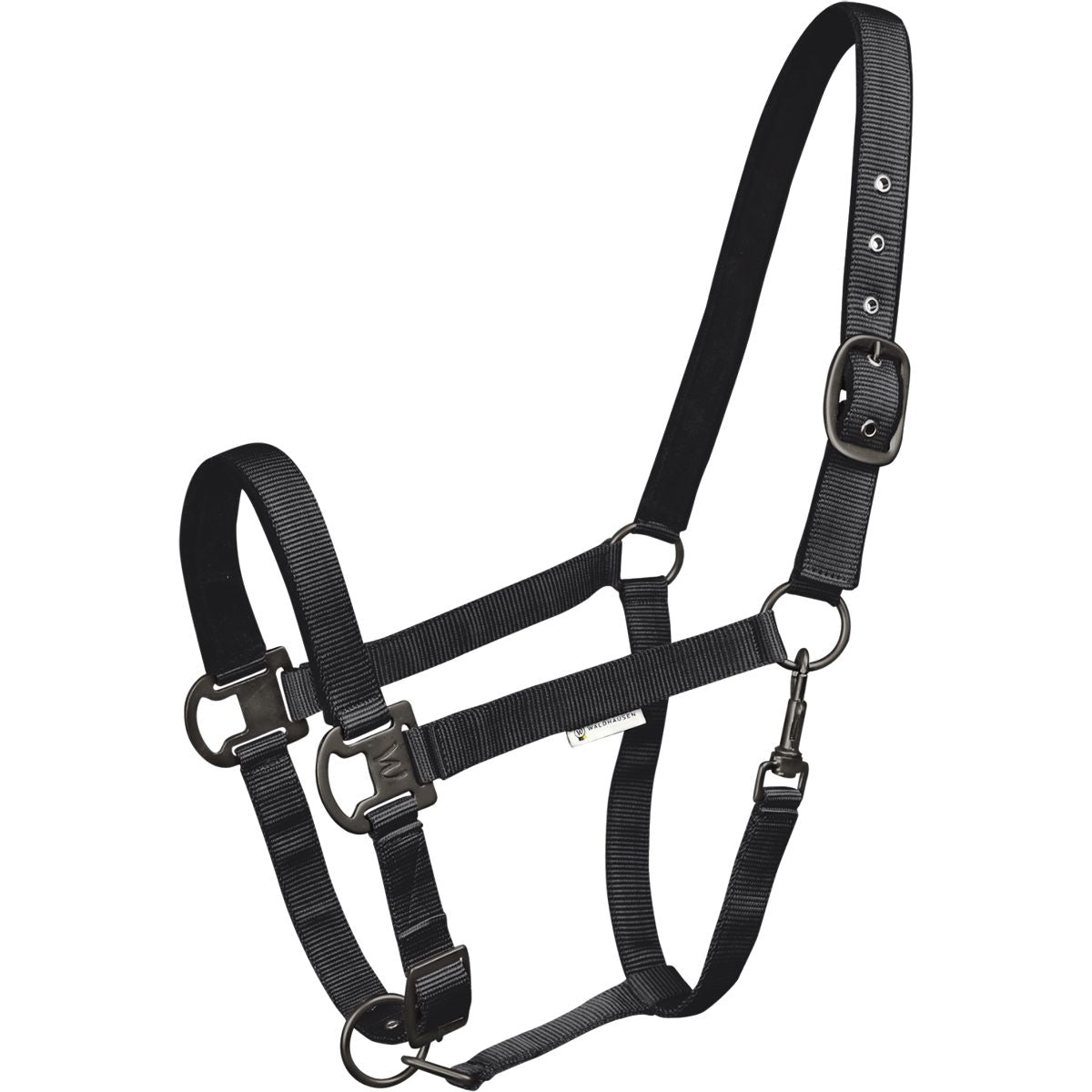 Waldhausen Capezzina Gloomy Nero