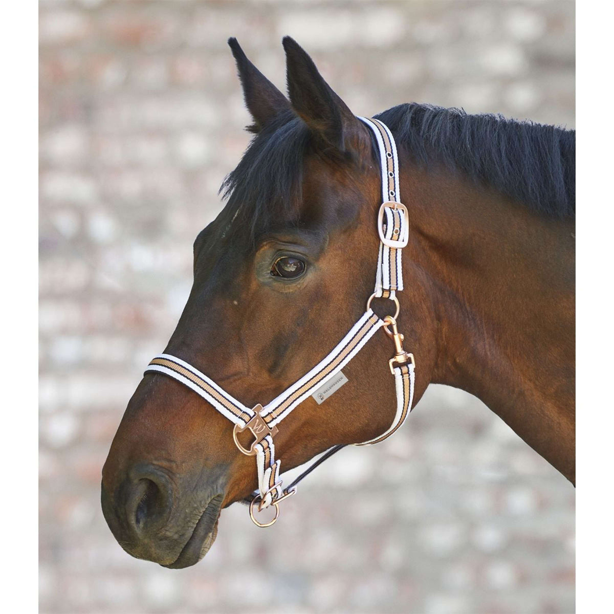 Waldhausen Capezzina Shine Bianco/Rosa