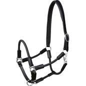 Waldhausen Capezzina Nevada Nero Argento