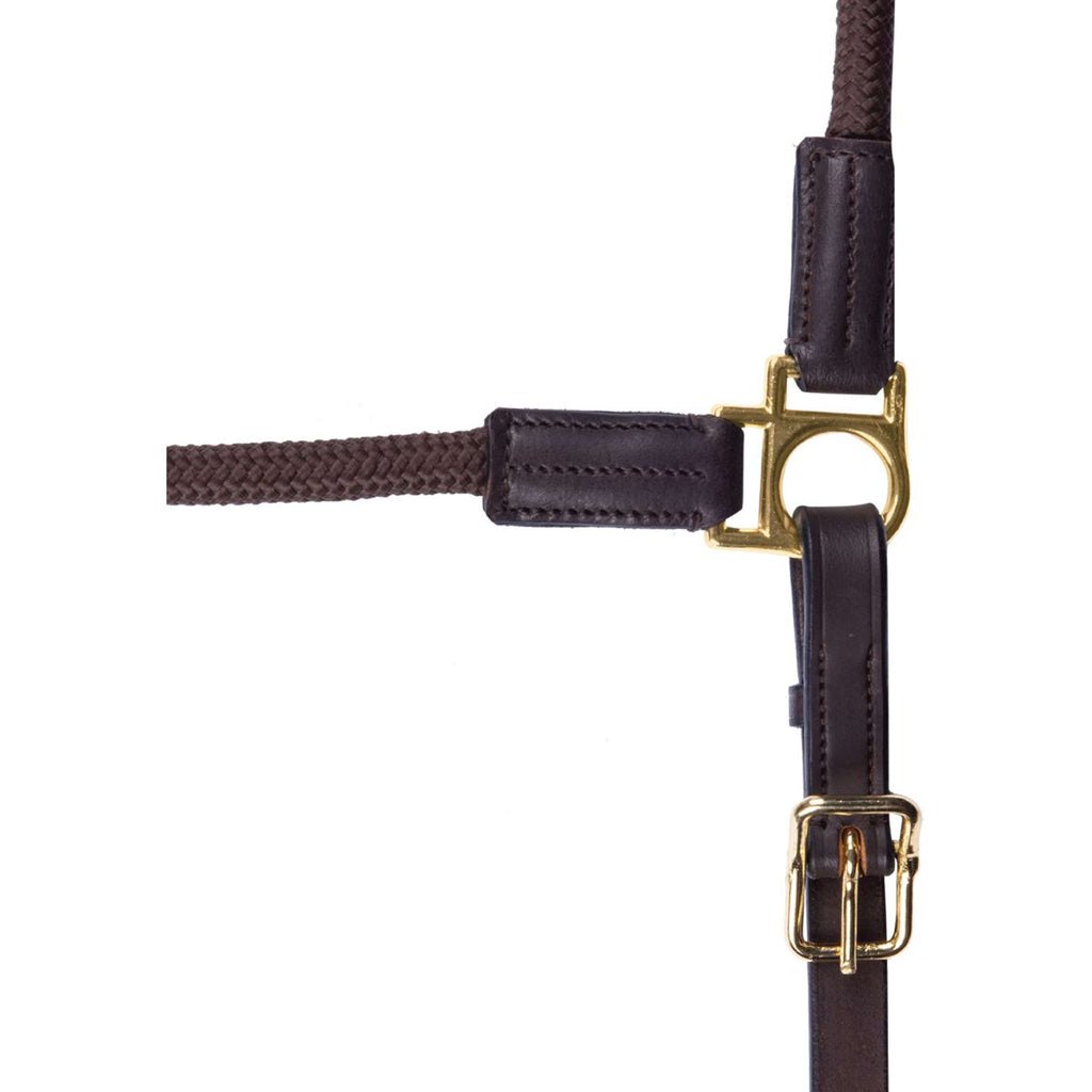 Waldhausen Cavezza Nevada Marrone/Oro