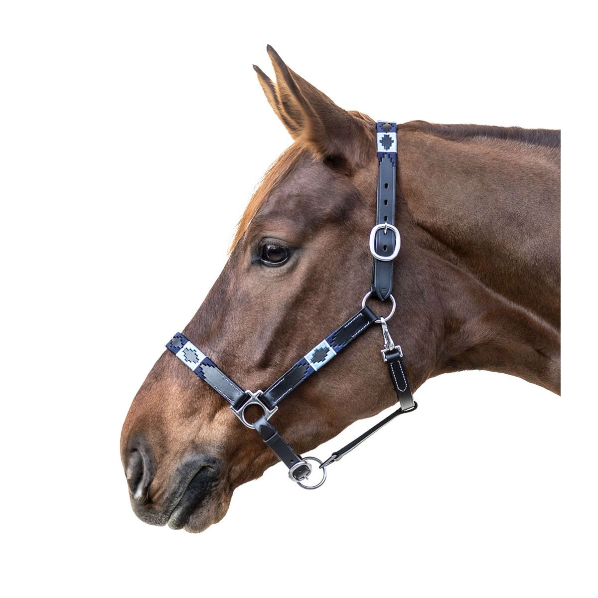Waldhausen Capezzina Polo Leder Nero/Blu