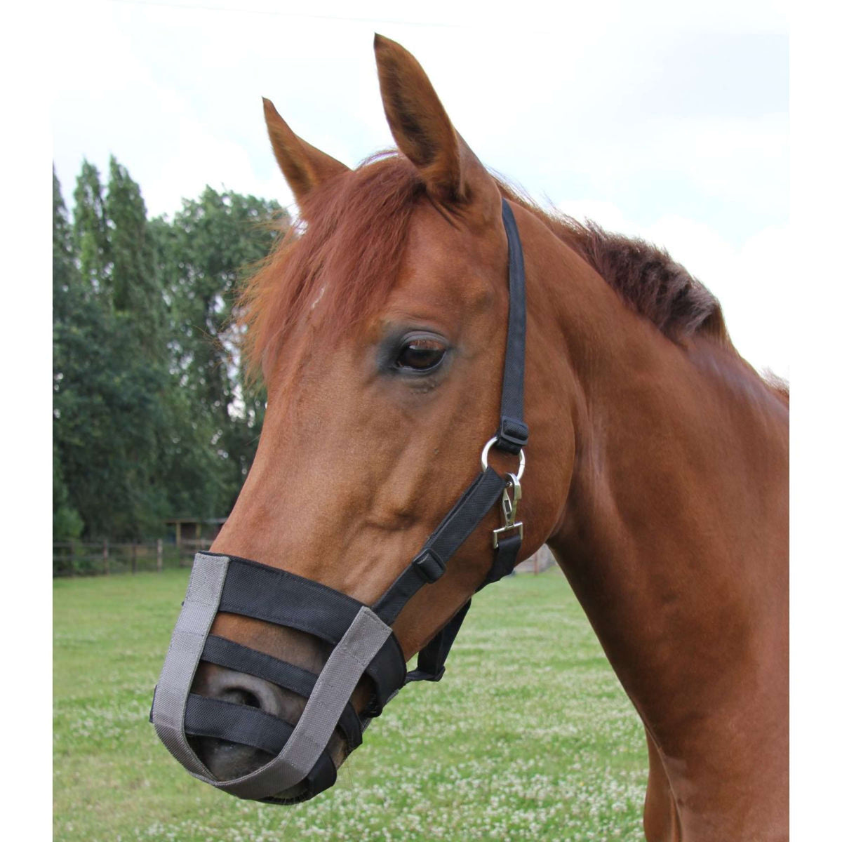 Waldhausen Maschera da Pascolo Nero/Grigio