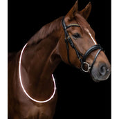 Waldhausen Halsring LED Bianco