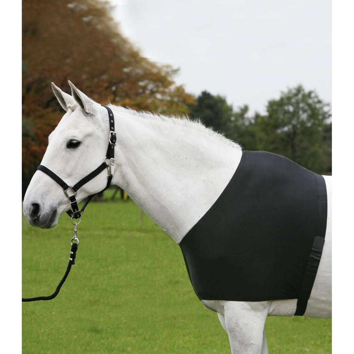 Waldhausen Protettore Torace Comfort Vest Nero