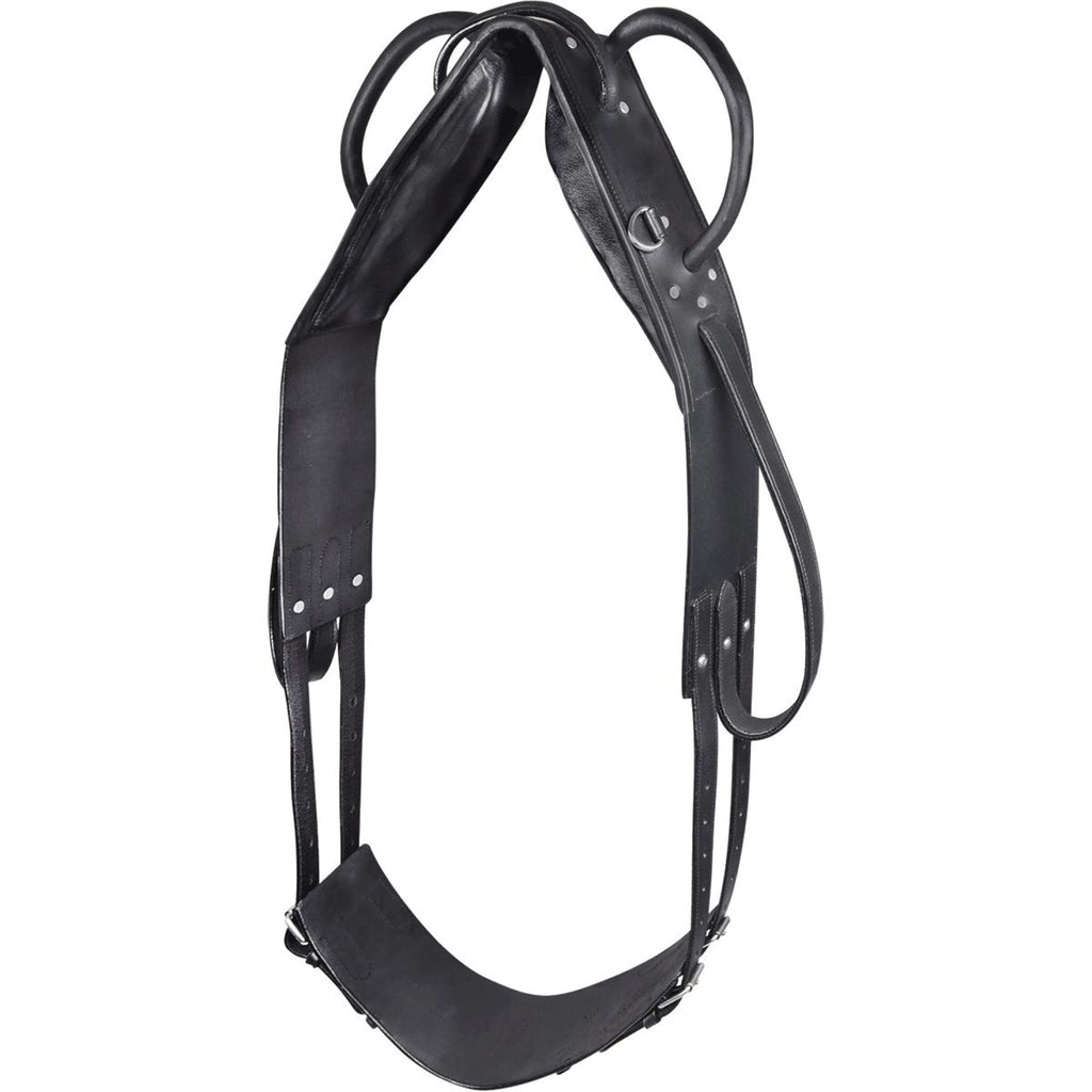 Waldhausen Cinghia di Longia Nero