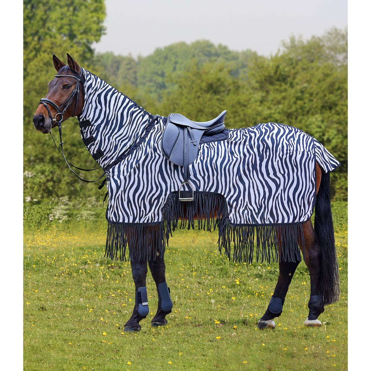 Waldhausen Coperta da equitazione anti-mosche Zebra con Frange Zebra