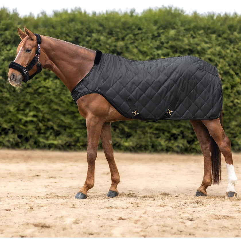 Waldhausen Coperta Tapis Roulant Exclusive Nero Waldhausen Coperta Tapis Roulant Exclusive Nero