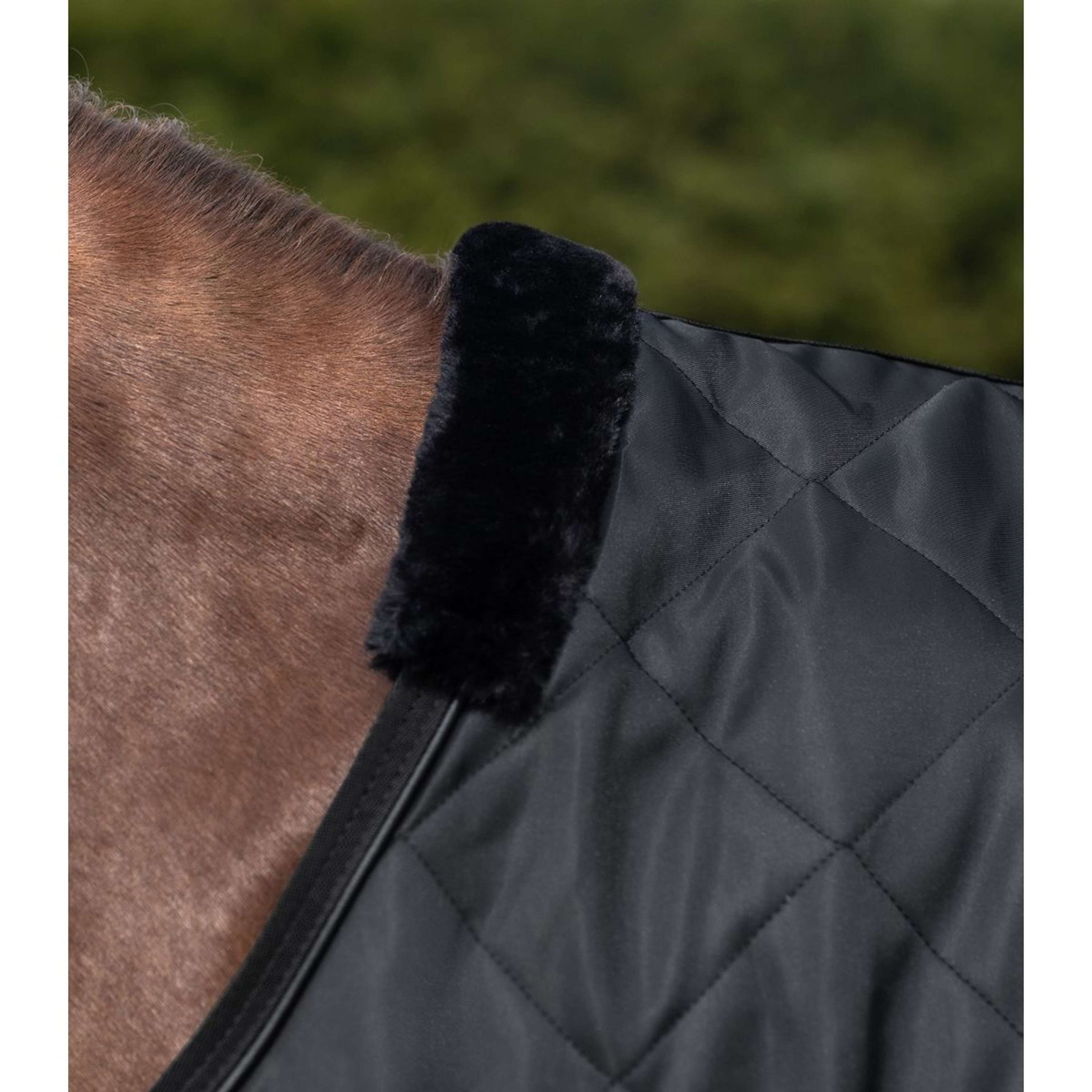 Waldhausen Coperta Tapis Roulant Exclusive Nero Waldhausen Coperta Tapis Roulant Exclusive Nero