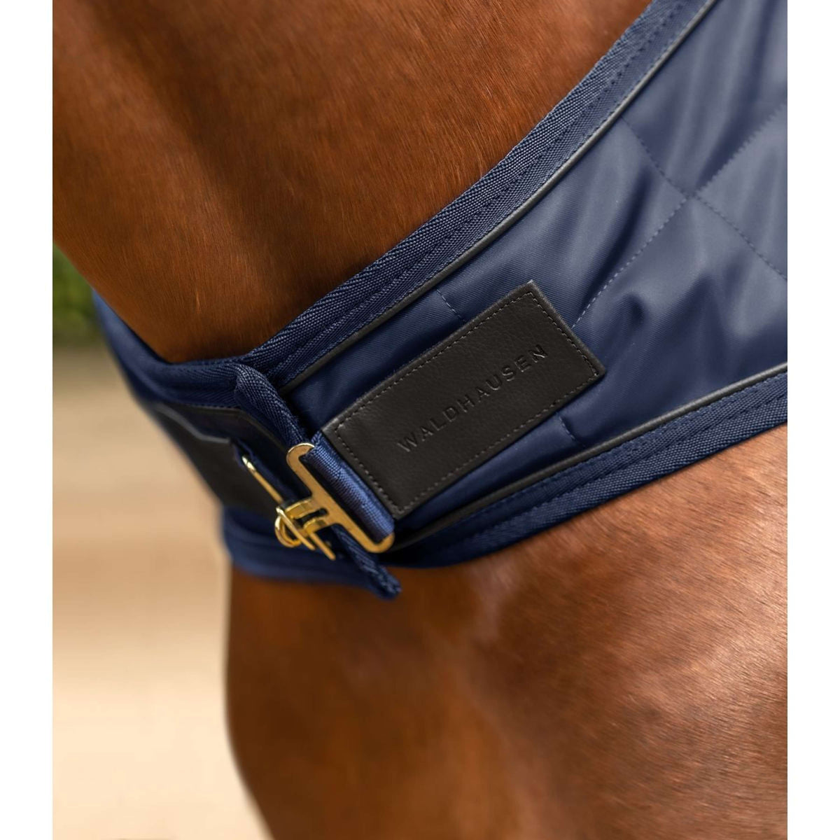 Waldhausen Coperta Tapis Roulant Exclusive Nightblue