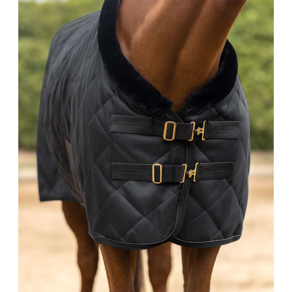 Waldhausen Coperta da Trasporto Exclusive Nero