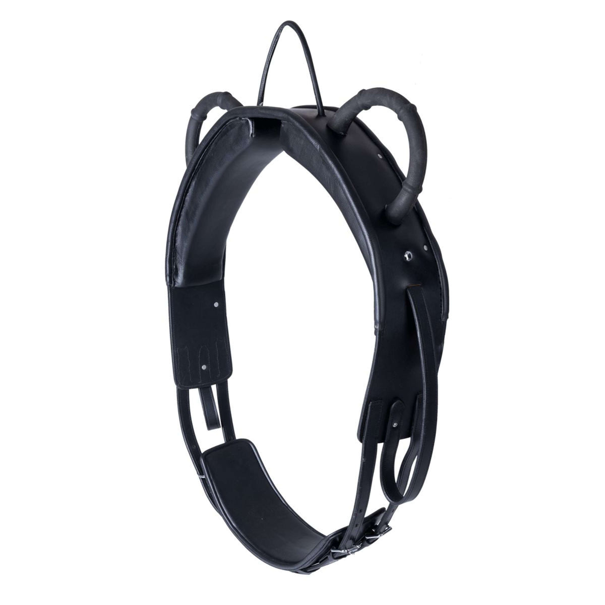 Waldhausen Cinghia di Longia Training Nero