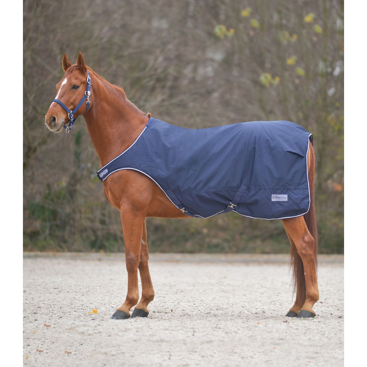 Waldhausen Coperta Tapis Roulant 100g Nightblue