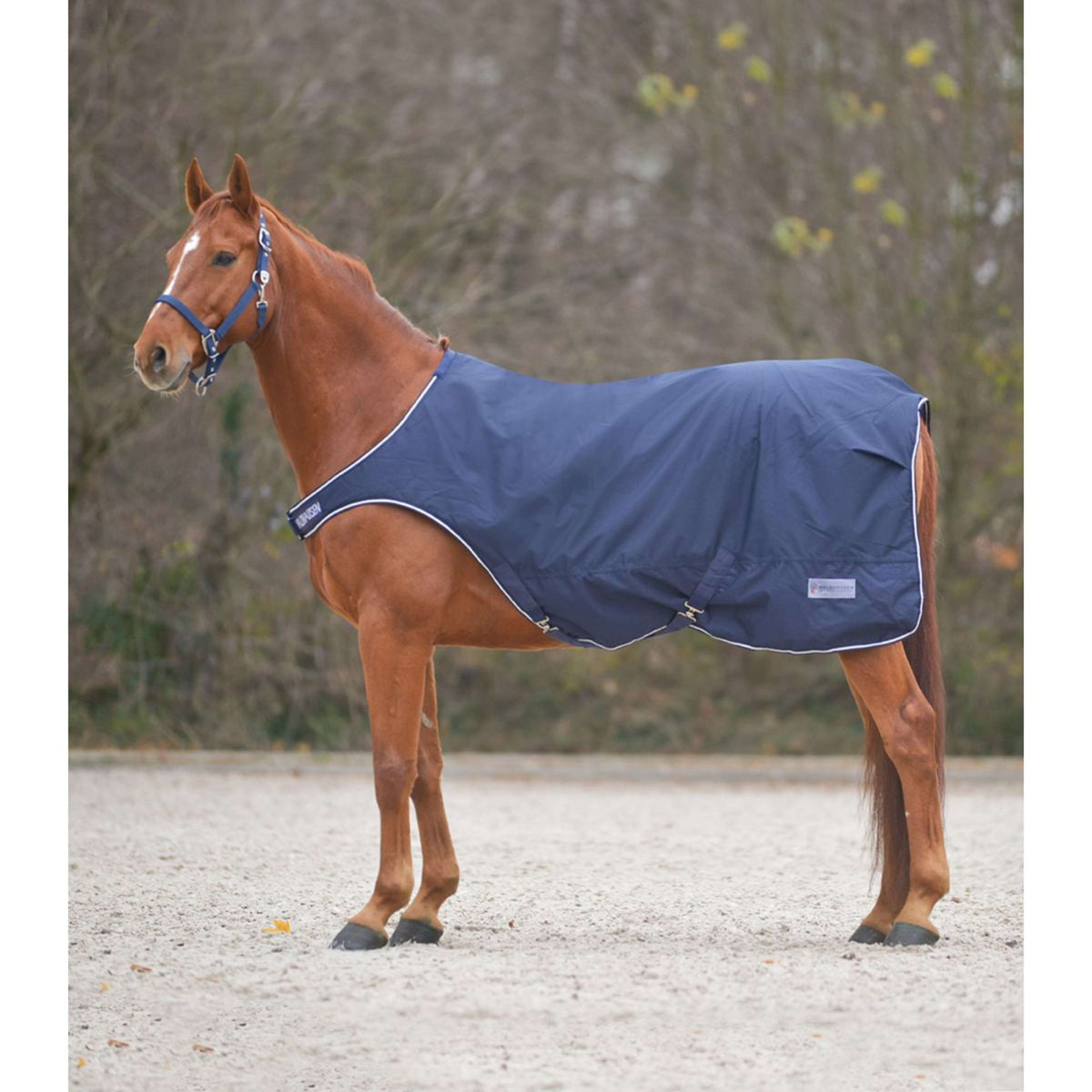 Waldhausen Coperta Tapis Roulant 100g Nightblue