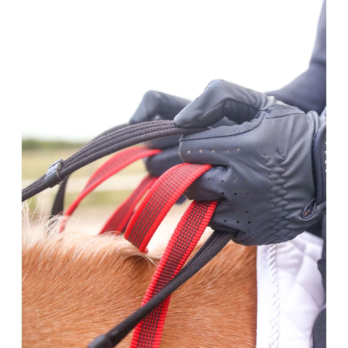 Waldhausen Pettorale Secutrust Nero