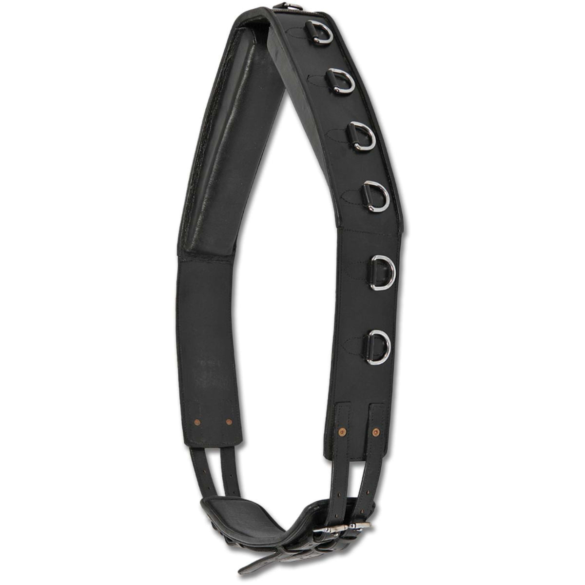 Waldhausen Fascia da Addestramento Nero