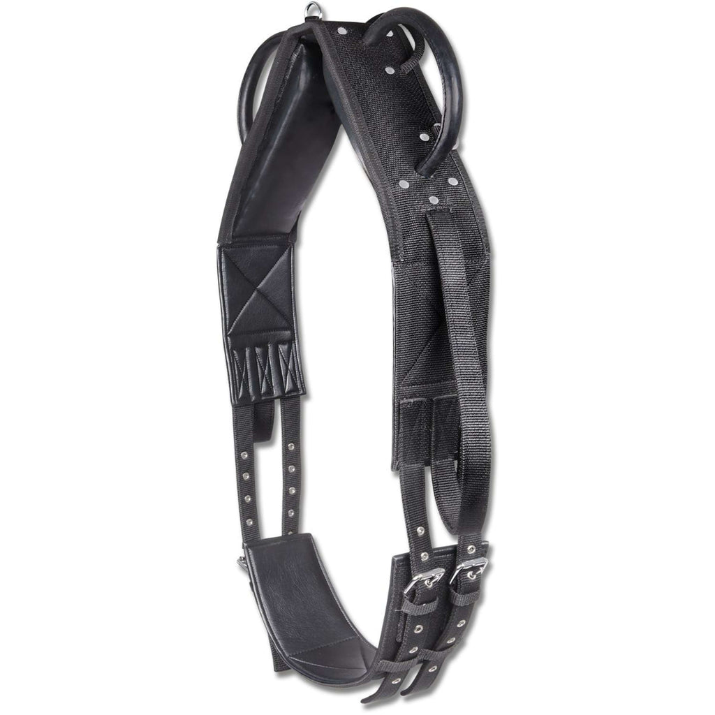 Waldhausen Cinghia da Lunging/Volteggio Nero