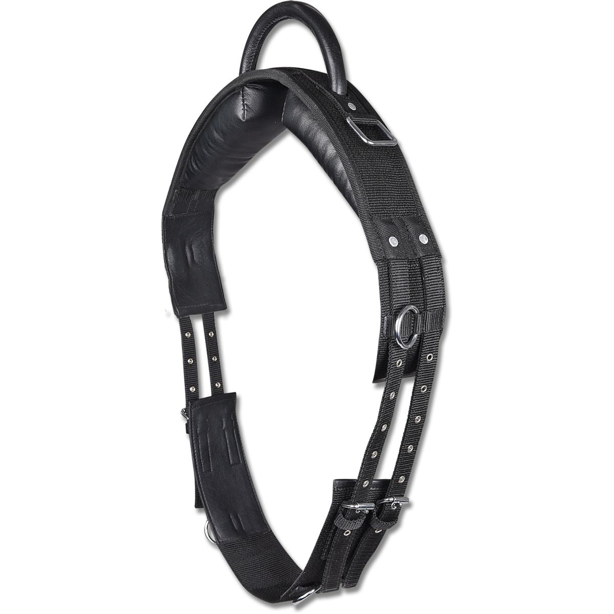 Waldhausen Fascia da Addestramento Nero