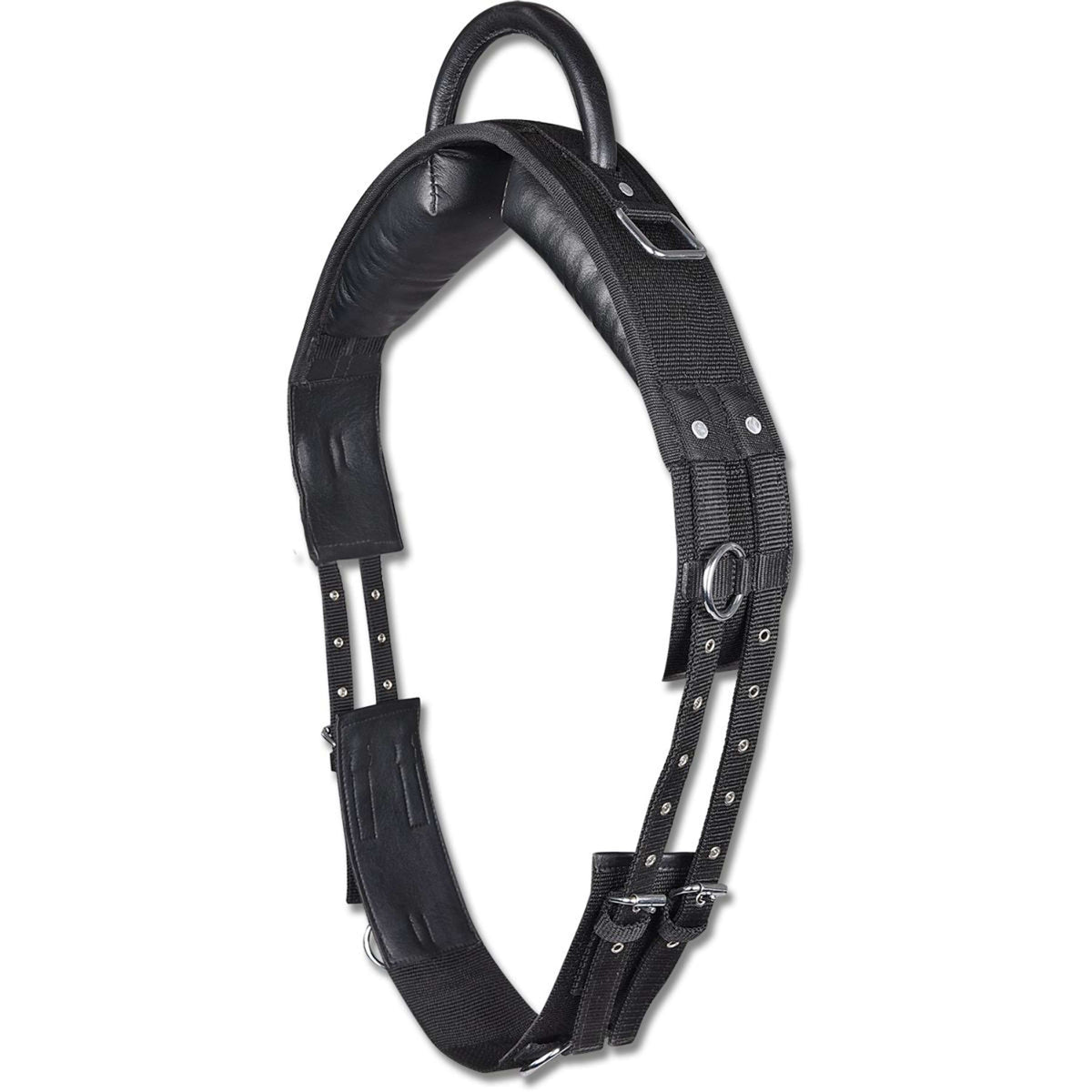 Waldhausen Fascia da Addestramento Nero