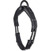 Waldhausen Fascia da Addestramento Nero