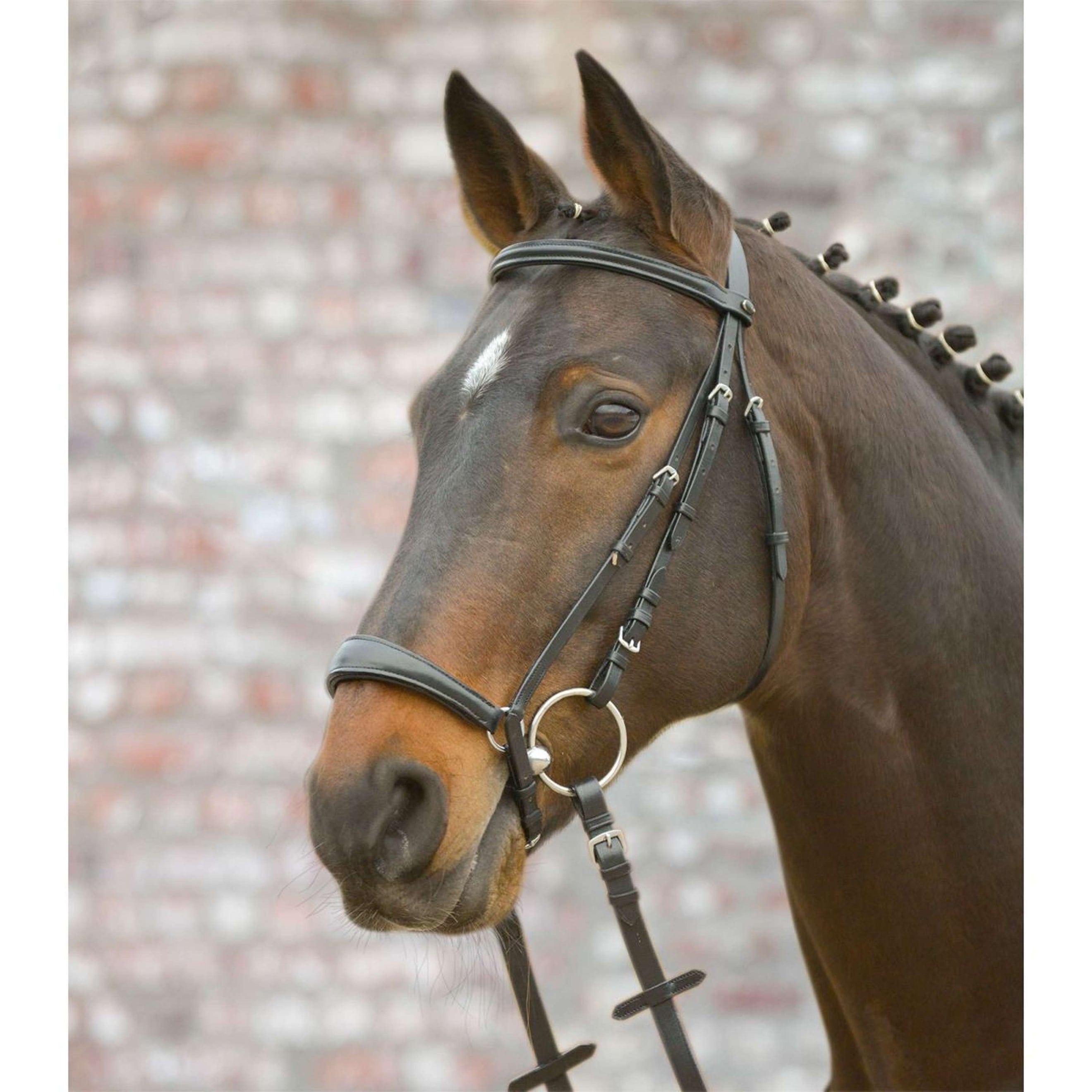 Star Briglia Hannover Nero Star Briglia Hannover Nero