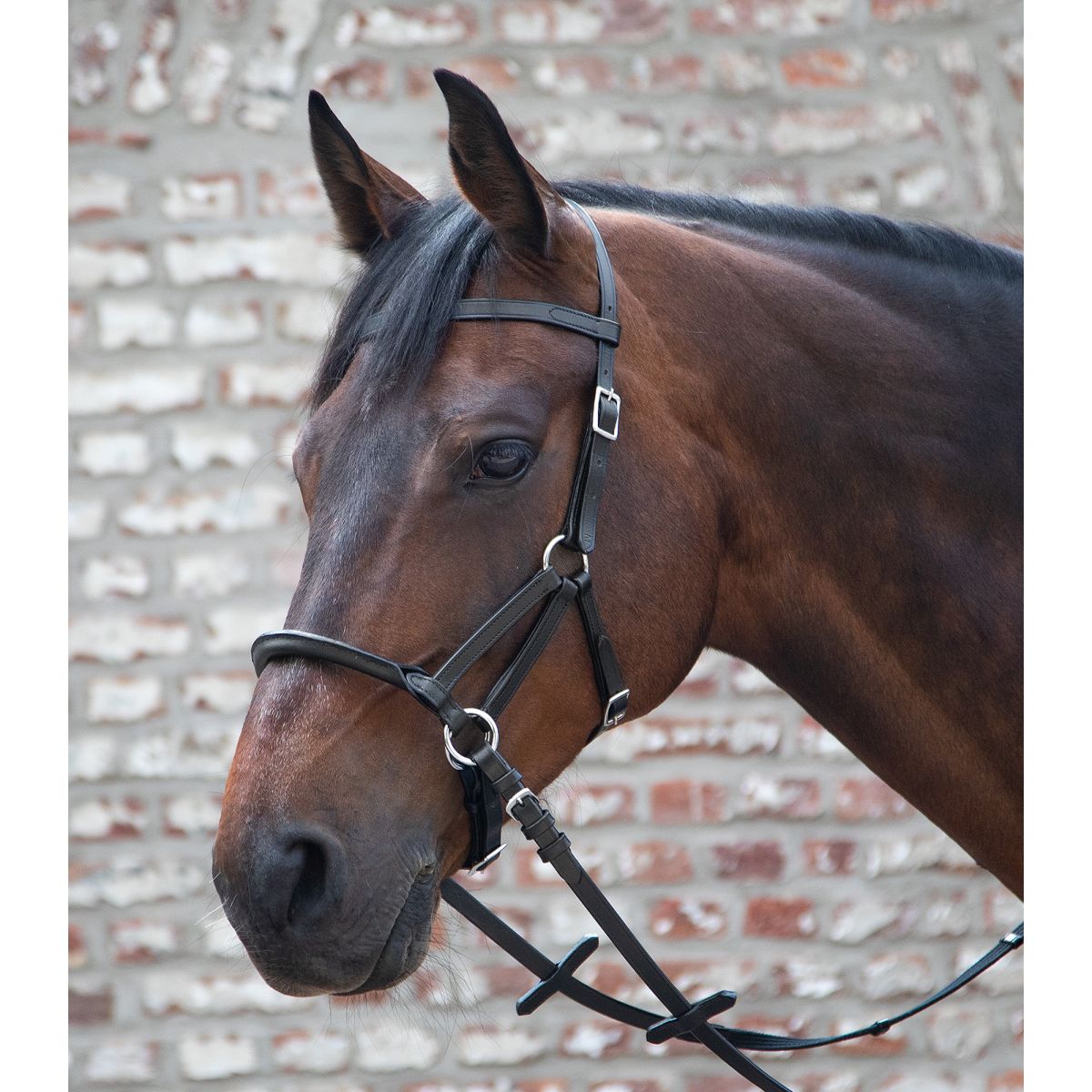 Waldhausen Briglia senza Morso Linda Tellington Jones Nero