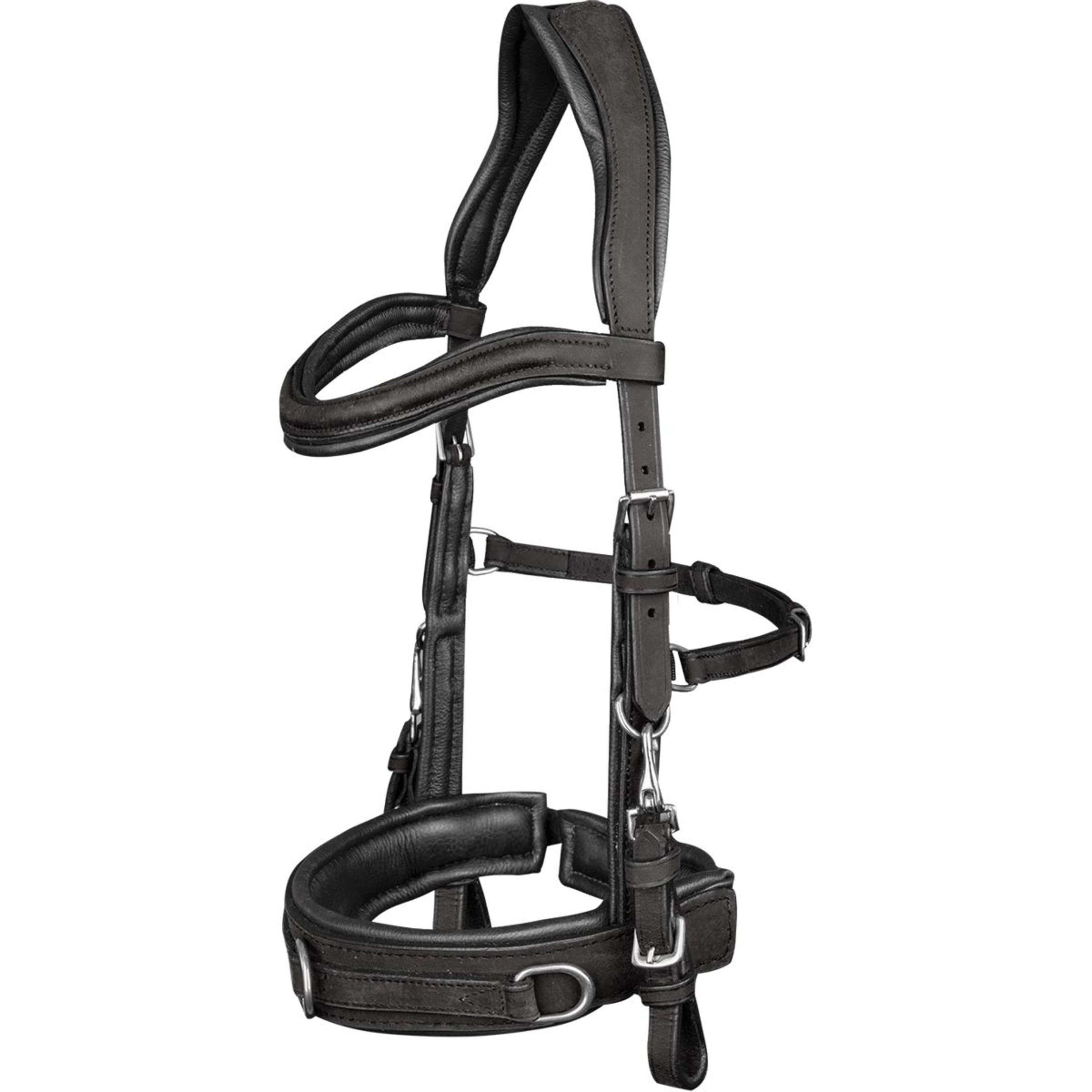 Waldhausen Cavezzone Anatomisch Nero Waldhausen Cavezzone Anatomisch Nero
