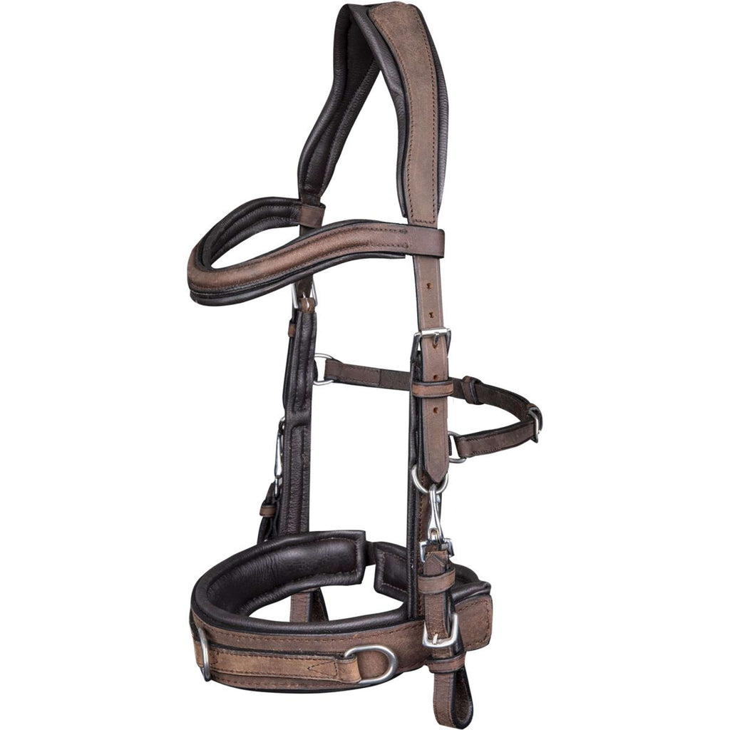 Waldhausen Cavezzone Anatomisch Marrone
