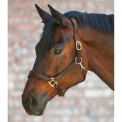 Waldhausen Capezzina X-Line Anatomic Leder Marrone