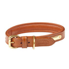 WeatherBeeta Dog Collar Pelle imbottita Tan