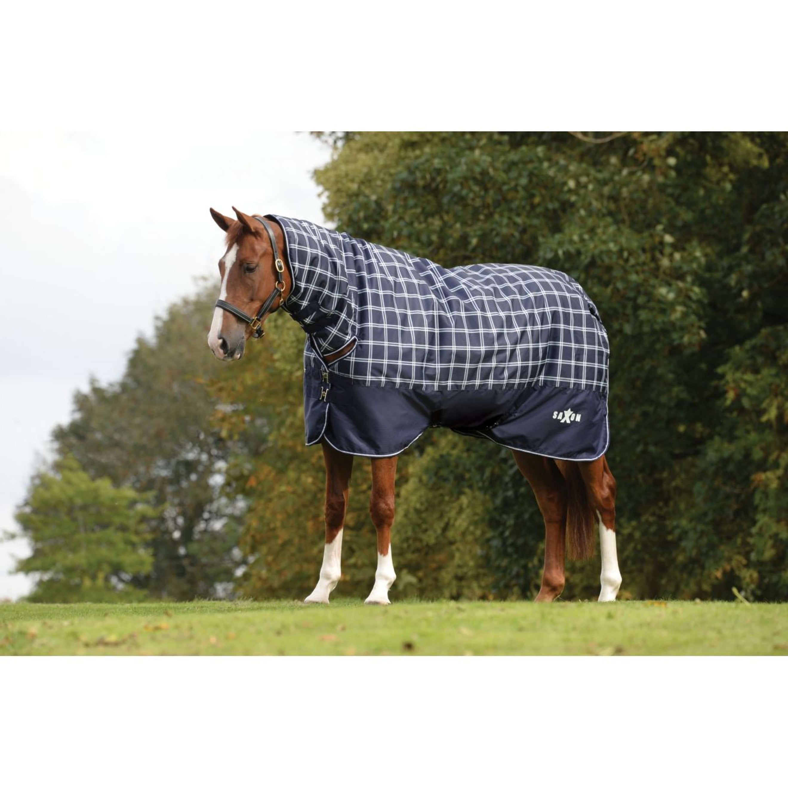 Saxon Tappeto Defiant 600D Combo Neck Heavy Navy Plaid