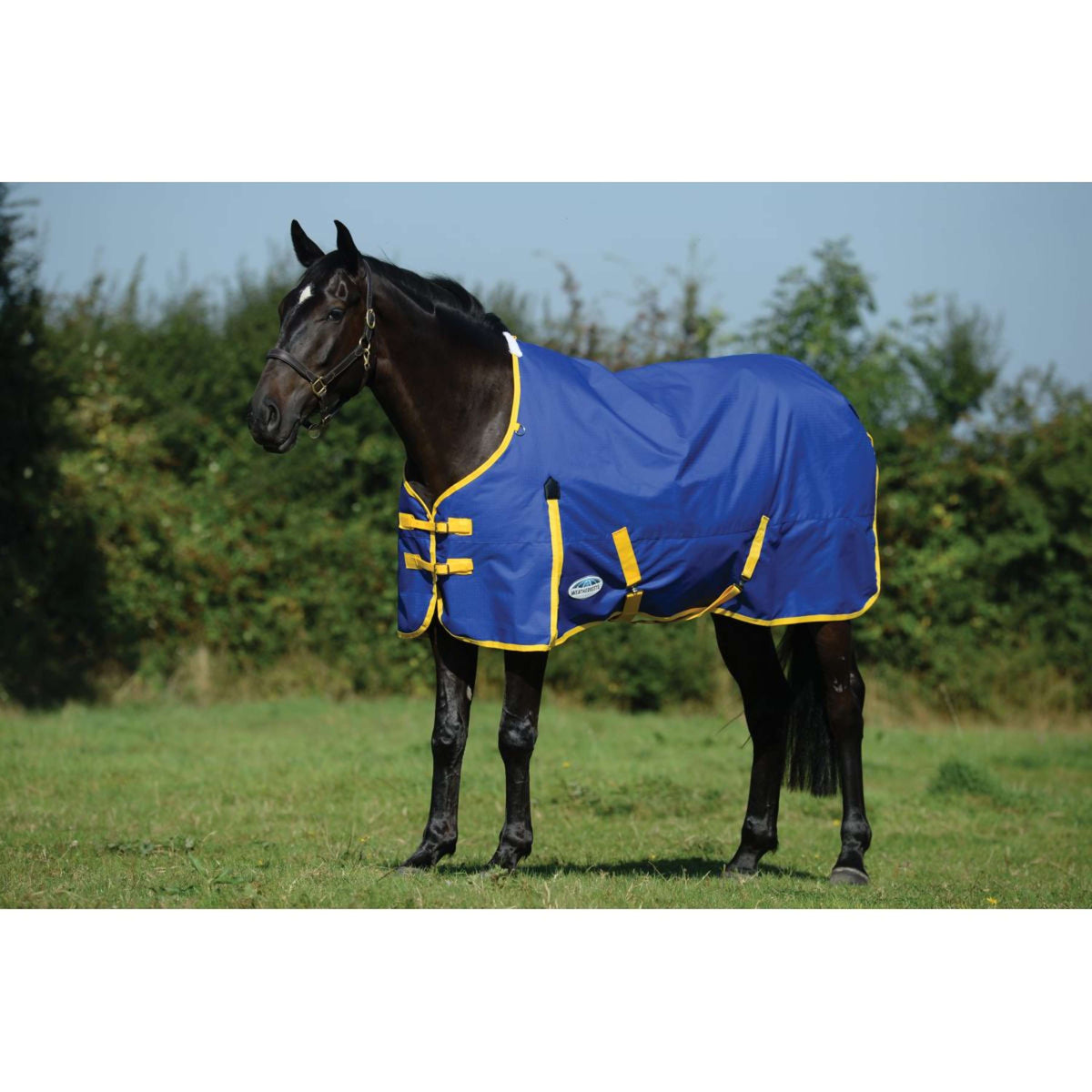 Weatherbeeta Comfitec Classic Standard Neck Medium Blu/Limone